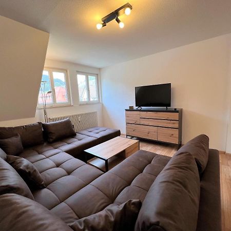 Ferienwohnung Kinzigblick - Balkon - Fuer Kinder - Mit Bettwaesche & Handtuecher Schenkenzell Zewnętrze zdjęcie